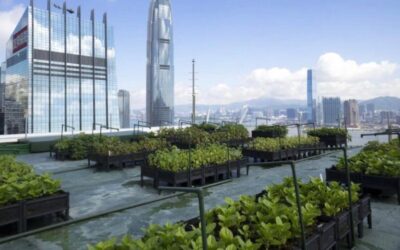Los 5 proyectos amigables con el Medio Ambiente más fabulosos