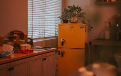 5 consejos para reducir el consumo eléctrico de tu heladera en verano